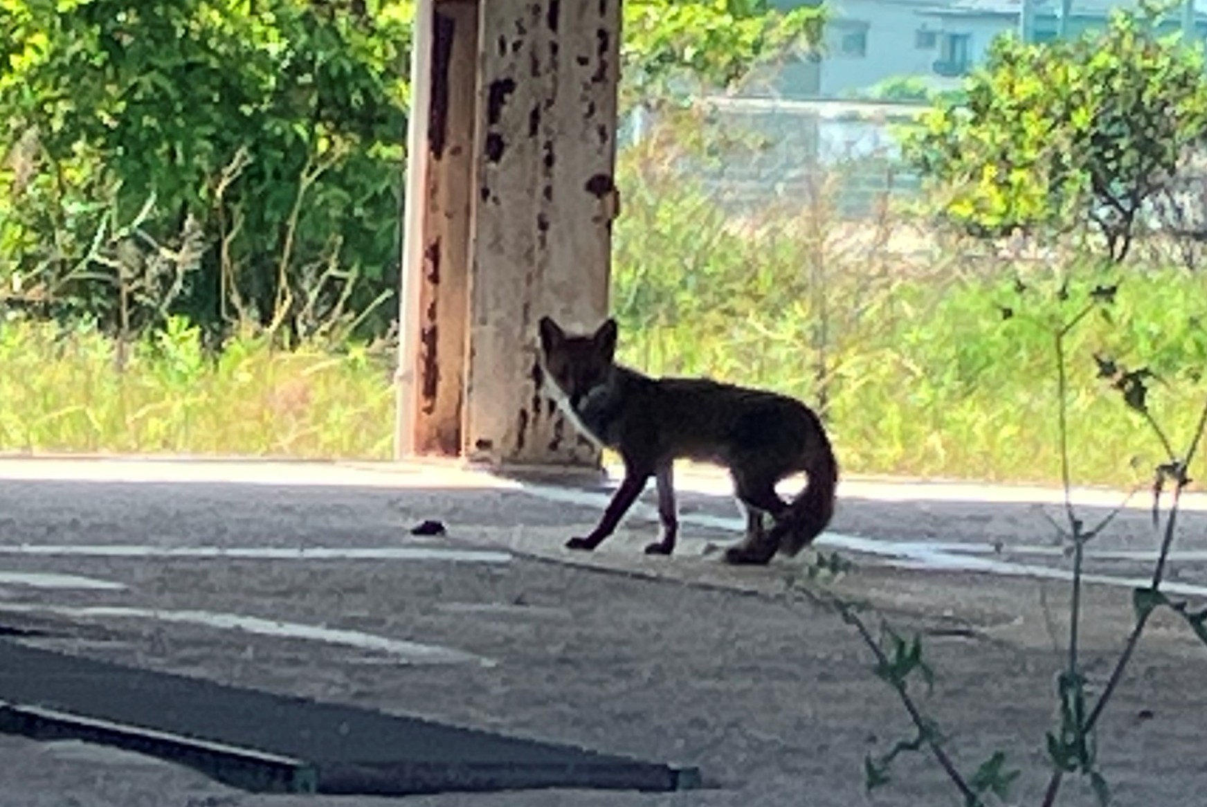 ひとりごと