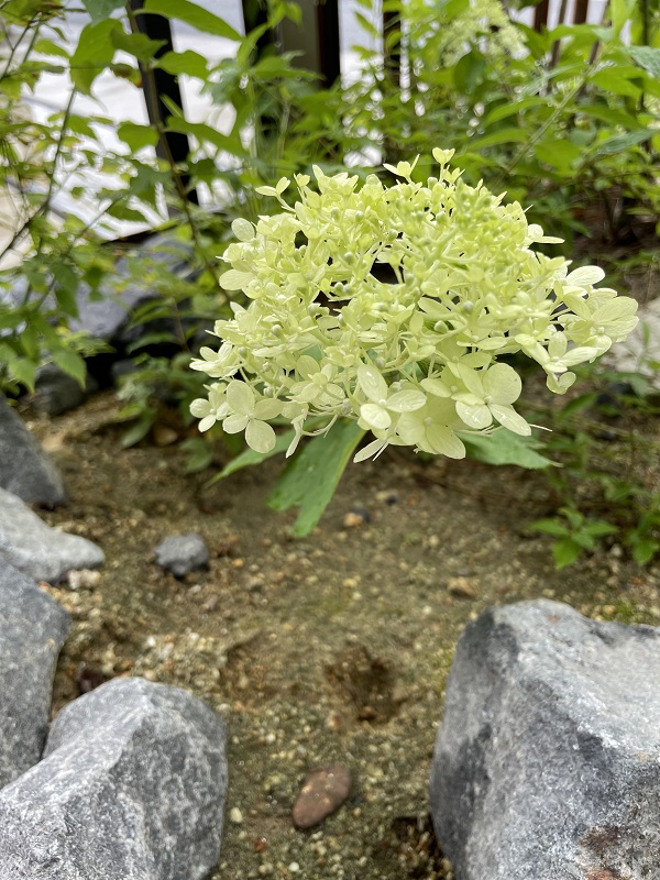 ひとりごと