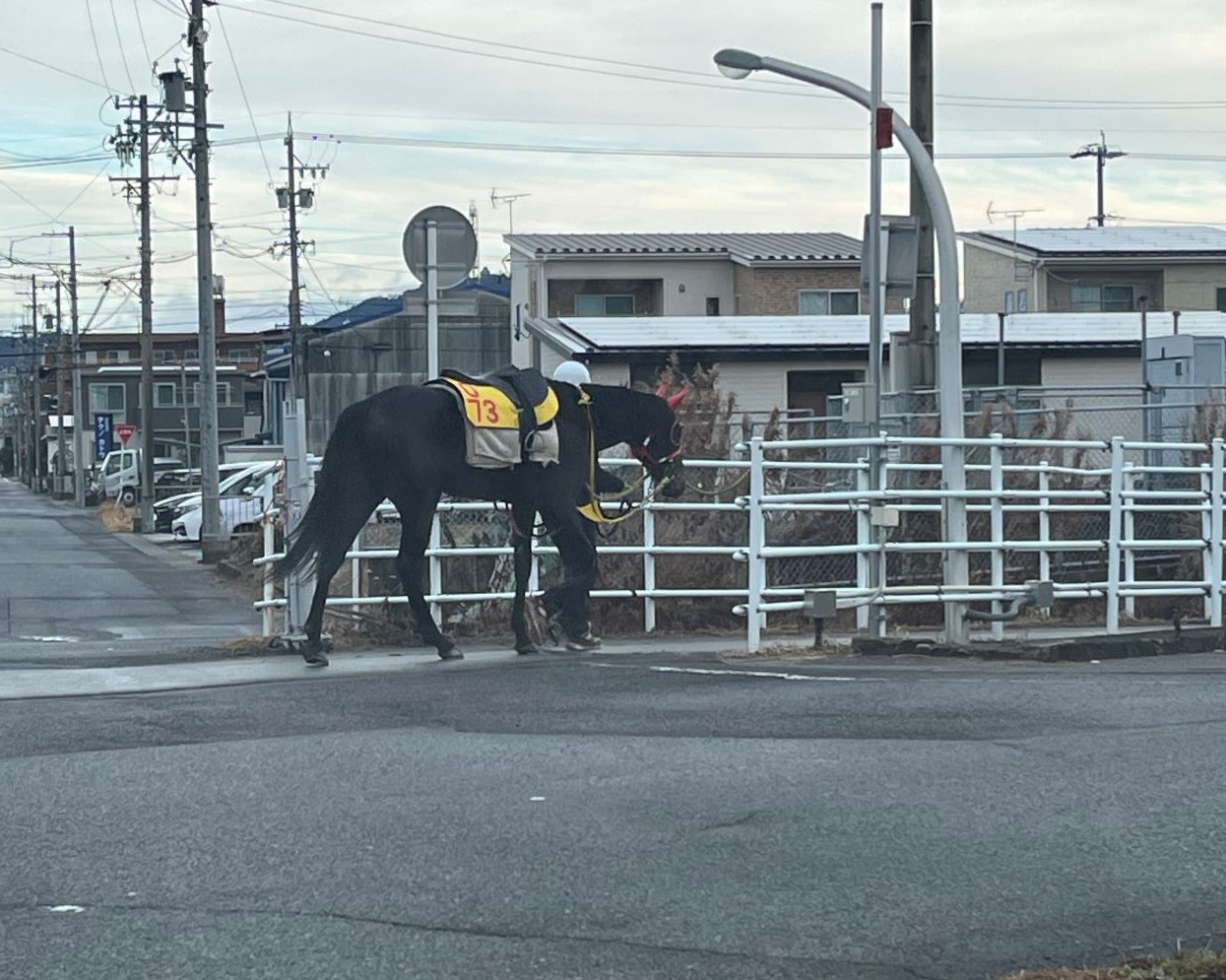 ひとりごと